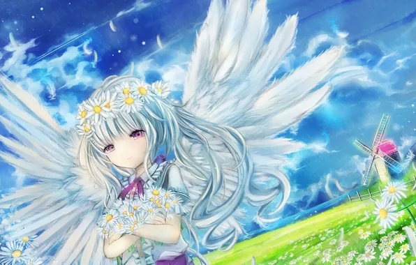The sky, girl, clouds, flowers, nature, chamomile, wings, angel