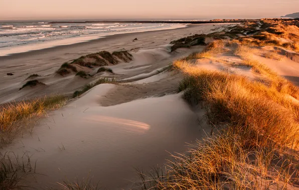 Sand, sea, the sky, grass, sunset, shore