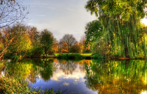 Picture autumn, trees, river, Bank, shrub, yellow-green foliage, smooth surface