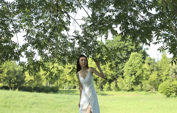 Grass, Beautiful, Asian, Model, Woman, Trees, Pretty, Sunny