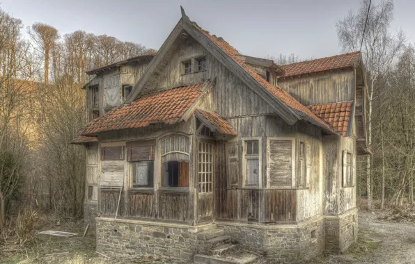 Nature, background, home