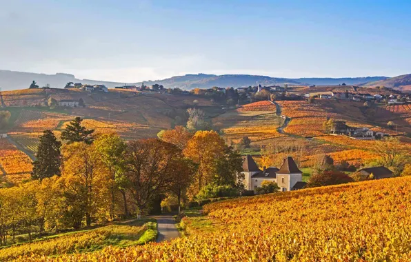 Picture autumn, France, Lantinga, the Beaujolais region