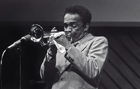 Picture music, jazz, pipe, microphone, musician, jazz musician, trumpeter, Howard McGhee