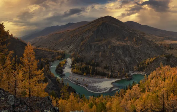 Autumn, landscape, mountains, nature, river, forest, Altay, bend