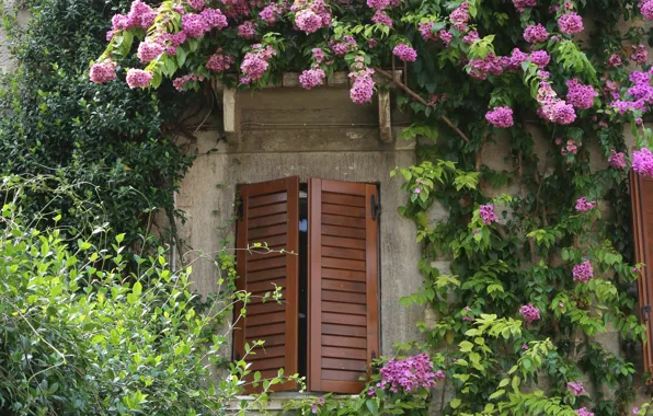 Picture flowers, window, Italy, Italy, flowers, Italia, Sirmione, Sirmione