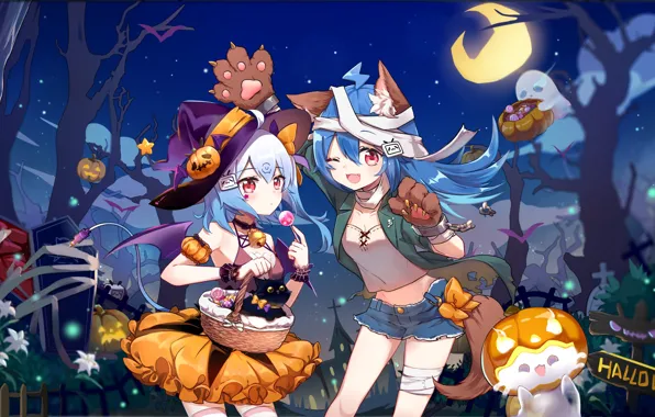 Girls, cat, costumes, Halloween