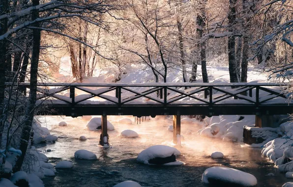 Wallpaper winter, light, snow, trees, bridge, river, stones