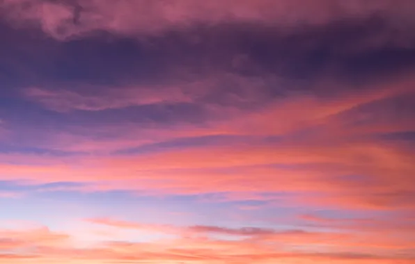 The sky, clouds, sunset, background, pink, colorful, sky, sunset