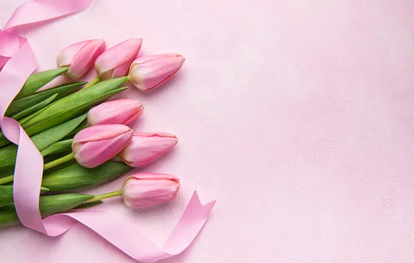 Flowers, bouquet, tape, tulips, pink, flowers, tulips, spring