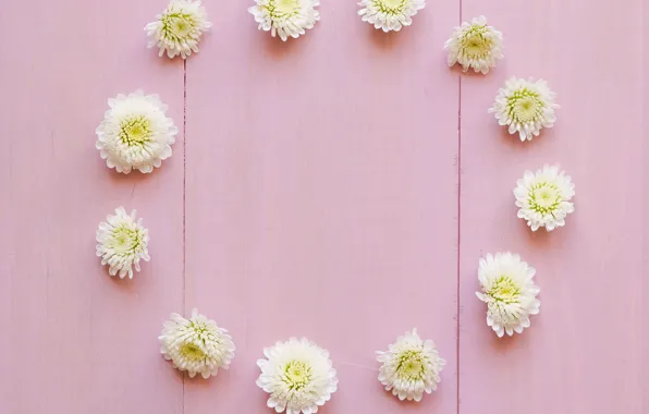 Picture flowers, white, white, buds, wood, pink, flowers, decoration