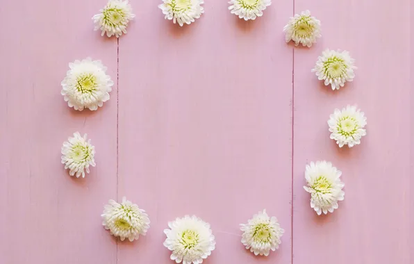 Flowers, white, white, buds, wood, pink, flowers, decoration