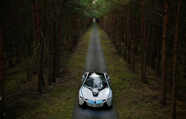 Picture road, forest, Wallpaper, bmw, pine, prototype, vision, dynamics