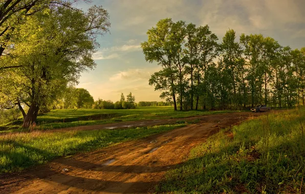 Picture road, field, summer, trees