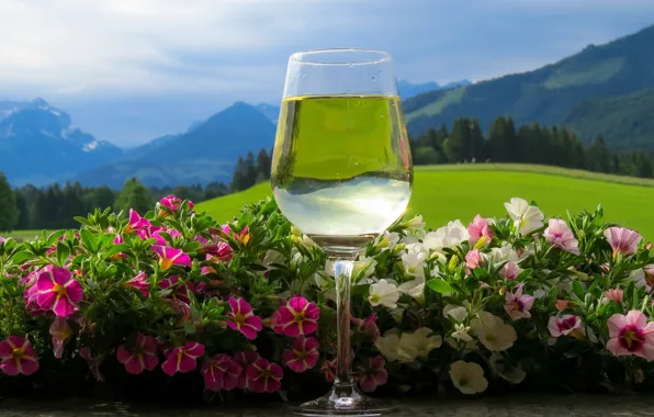 Greens, forest, summer, the sky, glass, clouds, landscape, flowers