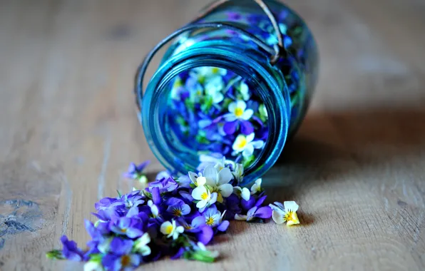 Picture flowers, blue, blue, petals, jar