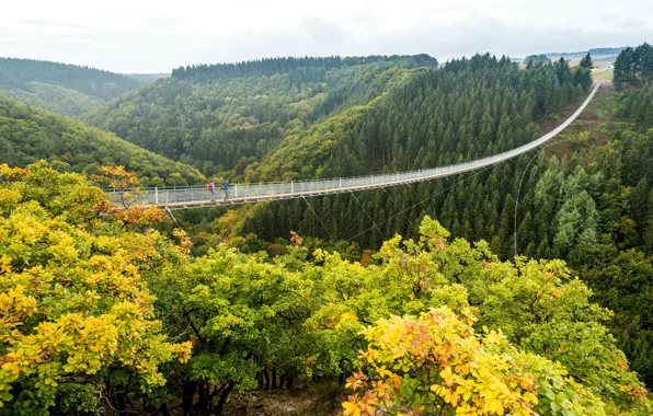 Autumn, forest, trees, bridge, Germany, valley, abyss, cable car