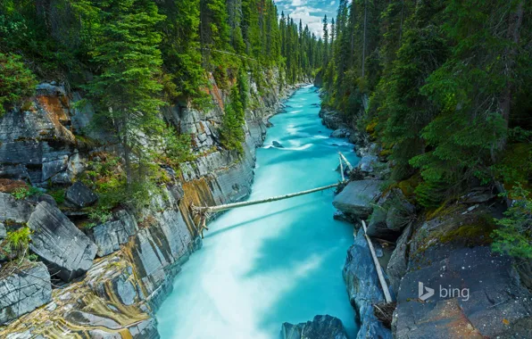 Forest, river, rocks, Canada, British Columbia, British Columbia, National Park, NUMA Falls