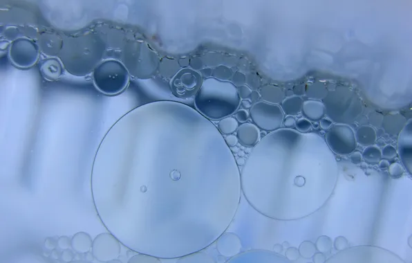 Foam, bubbles, bubbles, soap