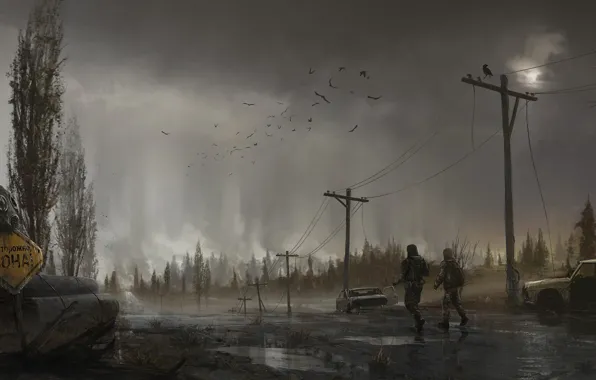 Picture road, trees, birds, Chernobyl, Stalker, Stalker, area, fan Art