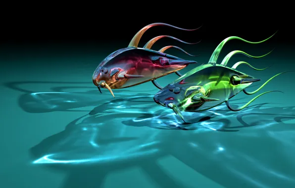 Glass, fish, fish, two, art, transparent, shadows