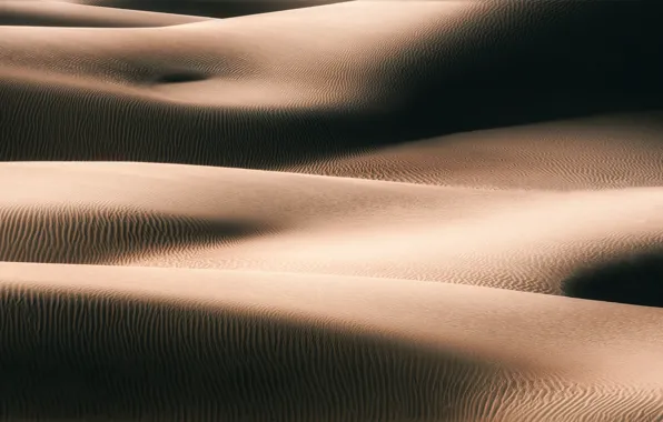 Sand, the dunes, Bodies