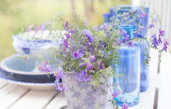 Flowers, bottle, still life, vetch