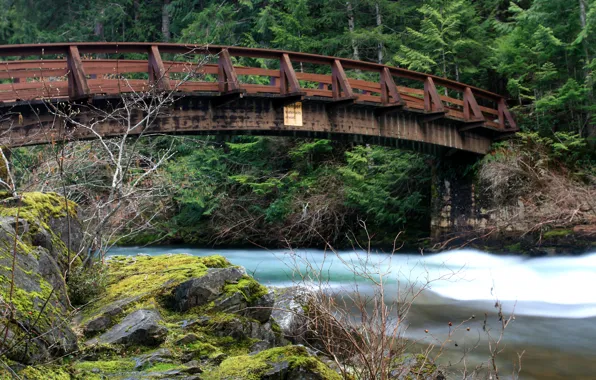 Picture bridge, river, Nature, river, bridge