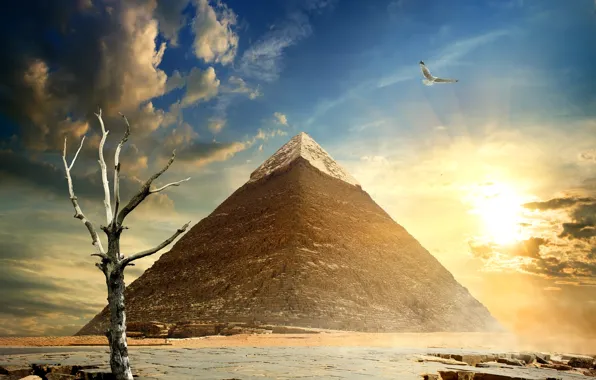 The sky, the sun, clouds, stones, tree, bird, pyramid, Egypt