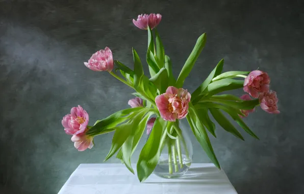 Background, bouquet, tulips, vase, pink