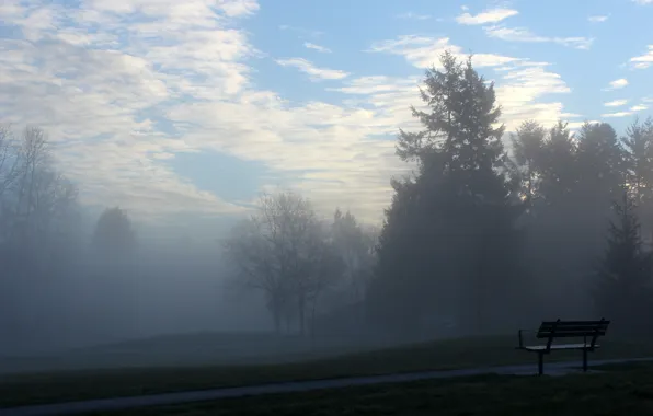 Fog, mood, morning, bench