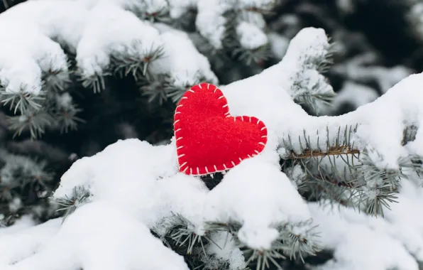 Picture winter, snow, love, heart, tree, red, love, heart
