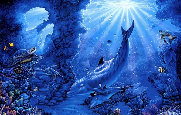 Rays, fish, corals, art, dolphins, the bottom of the sea, turtles, Belinda Leigh