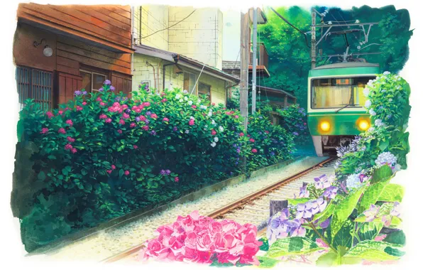 Picture Japan, tram, hydrangea, tram tracks, green trees, summer day, residential homes, by Kita Hideaki