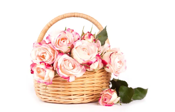 Picture roses, bouquet, pink, basket