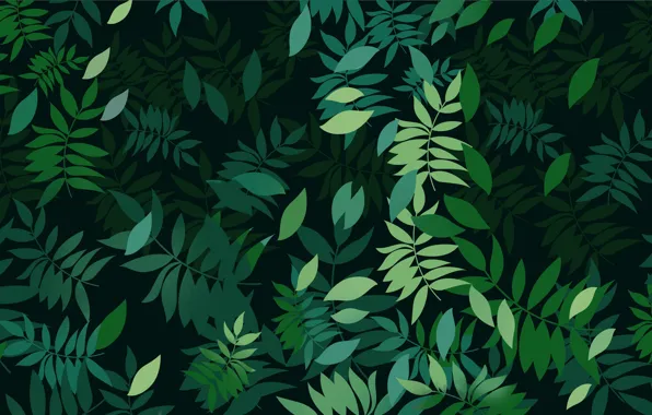 Leaves, Plants, Leaves, Plants, Green Background, Green Background
