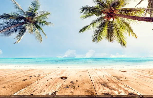 Sand, sea, wave, beach, summer, the sky, palm trees, shore