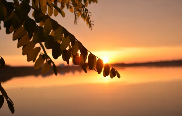 Picture landscape, dawn, morning