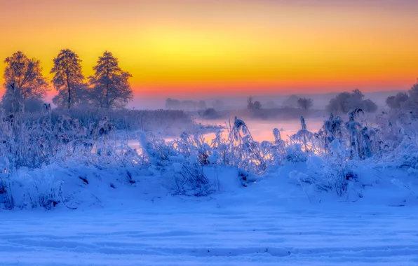Winter, snow, trees, river, sunrise, dawn, morning, Poland