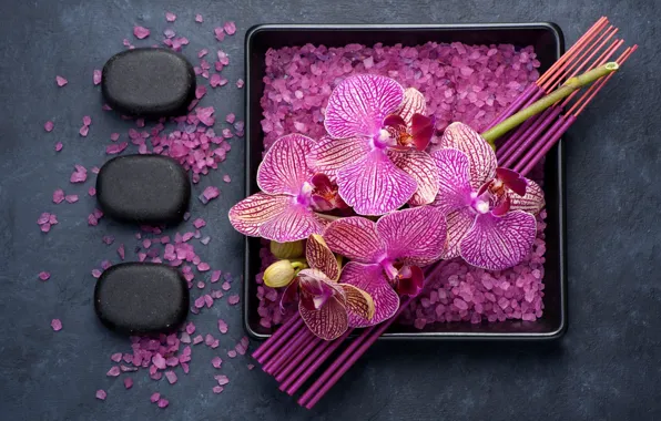 Sticks, orchids, salt