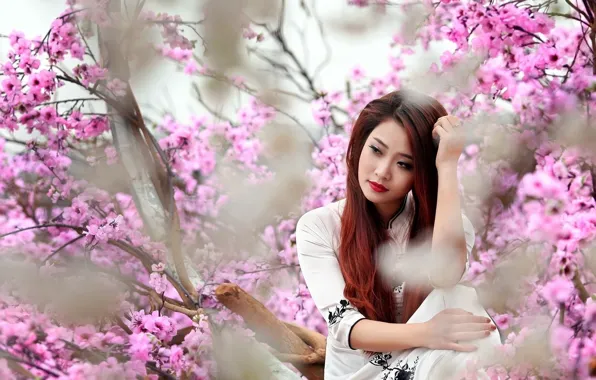 Reverie, red hair, red hair, cherry blossoms, blurred background, charm, cherry blossom, femininity