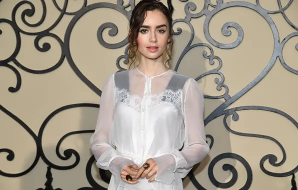 Look, pose, model, makeup, figure, actress, hair, Lily Collins