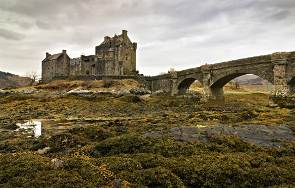 Wallpaper Eilean Donan, bridge, Scotland, castle
