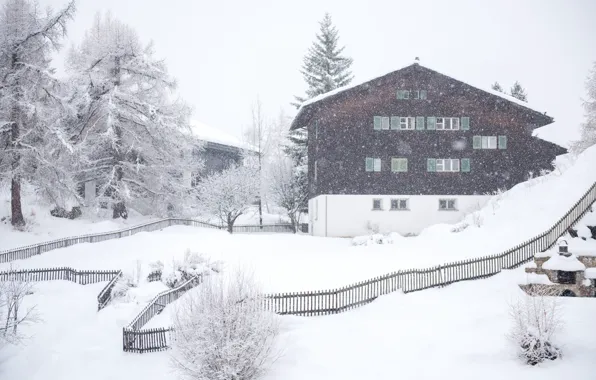 Picture winter, snow, trees, landscape, winter, house, hut, landscape