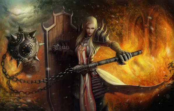 Picture girl, fire, blonde, shield, Diablo 3, Reaper of Souls, Crusader, Diablo III Reaper of Souls