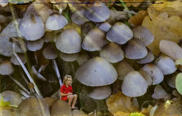 Picture style, background, mushrooms, girl