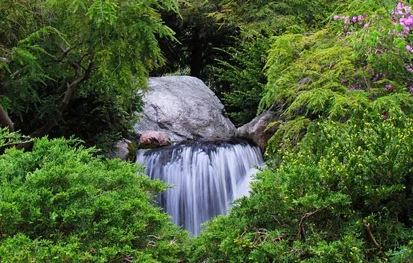 Picture forest, stones, waterfall, Michigan, the bushes, boulder, Michigan, Midland