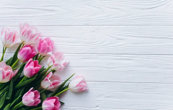 Flowers, tulips, pink, fresh, wood, pink, flowers, beautiful