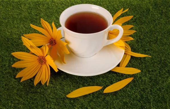 Tea, Cup, flowers