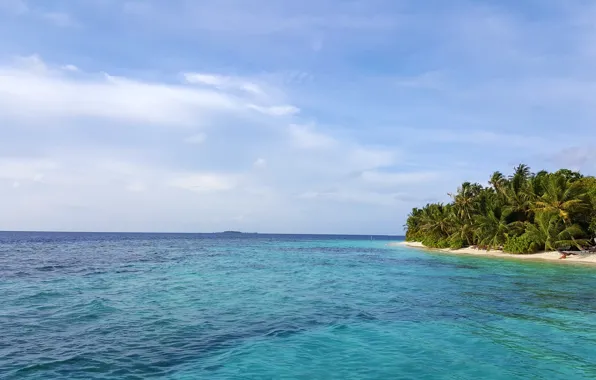 Beach, tropics, palm trees, the ocean, relax, Maldives