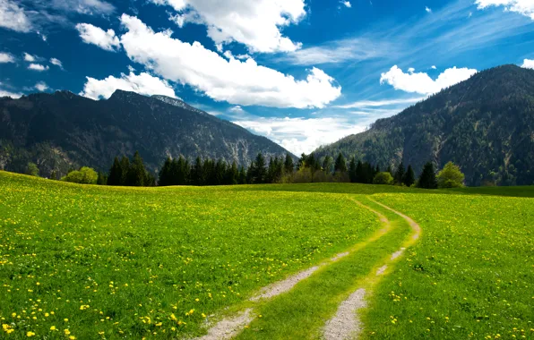 The sky, clouds, trees, landscape, mountains, sky, trees, landscape